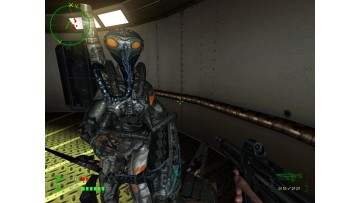 Operation: Matriarchy