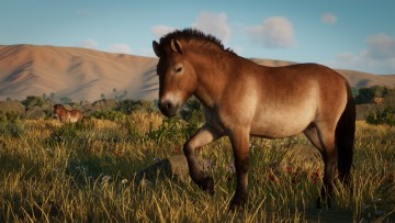 Planet Zoo: Conservation Pack