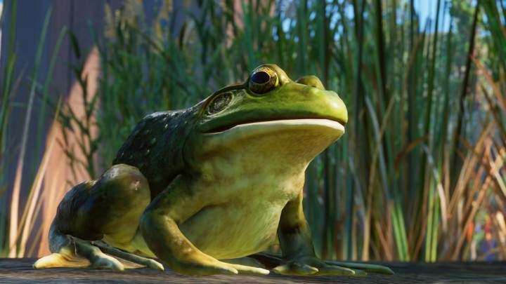 Planet Zoo: North America Animal Pack