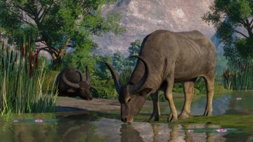 Planet Zoo: Wetlands Animal Pack