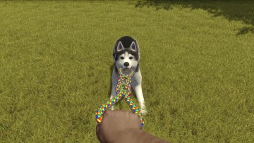 House Flipper Pets DLC