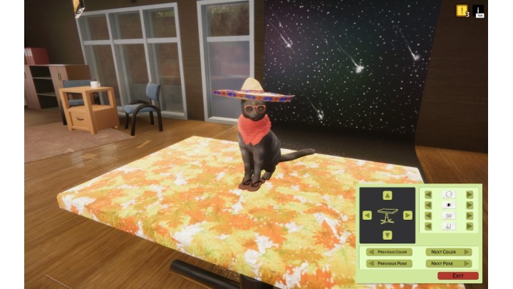 Animal Shelter