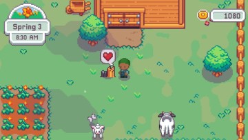 Firefly Village