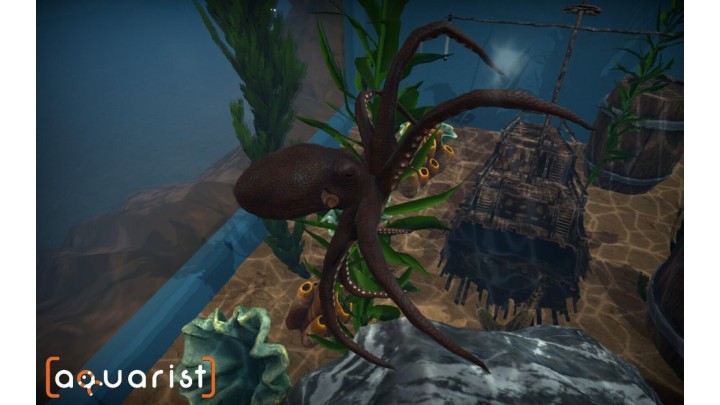 Aquarist