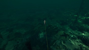 Ultimate Fishing Simulator - Florida DLC