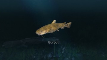 Ultimate Fishing Simulator - New Fish Species