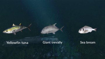 Ultimate Fishing Simulator - New Fish Species