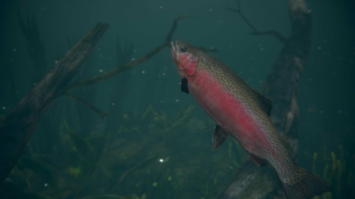 Ultimate Fishing Simulator 2 - Early Access